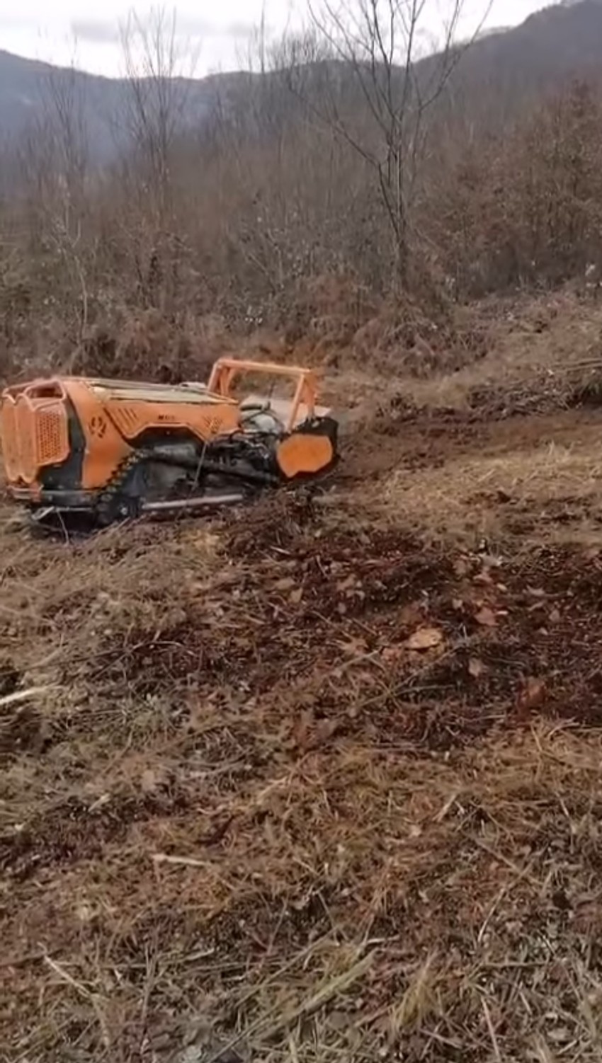 Marija je snimila kako se raskrčuje zemšljište, kao i nisko rastinje