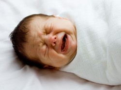 Becikowej historii ciąg dalszy: co naprawdę zmienią nowe przepisy?