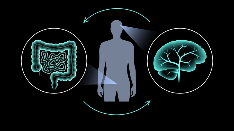 bélflóra, immunrendszer, agy, probiotikum, prebiotikum, előadás