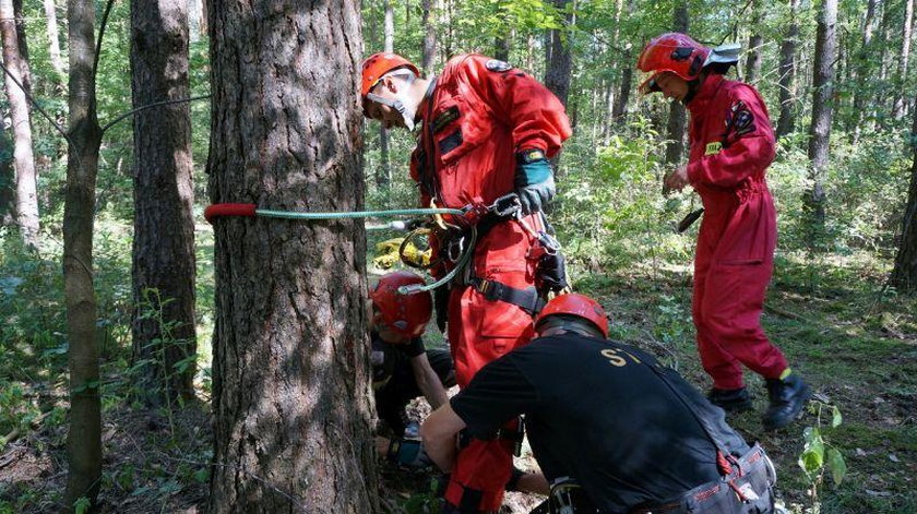 Ćwiczenia strażackie na wysokościach