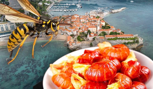 Ubod stršljena i trovanje gamborima na crnogorskom primorju