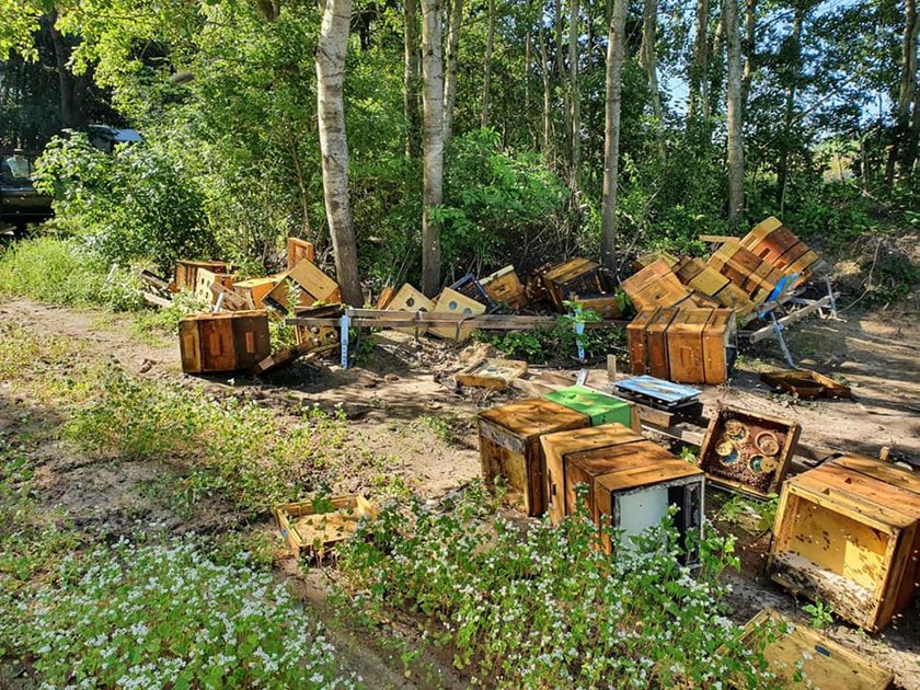 Bałtów: ktoś zniszczył 5 pasiek. Zdewastowano 160 uli