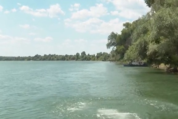 BEOGRAĐANI MASOVNO BEŽE NA OVU SKRIVENU PLAŽU! Nalazi se na pola sata od centra, kupači skaču sa LIJANE, ali pod jednim uslovom