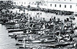 Rola Polesia w strategii obronnej kraju. Historia kontrowersyjnych planów [WYWIAD]