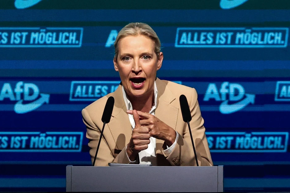 Alis Vajdel