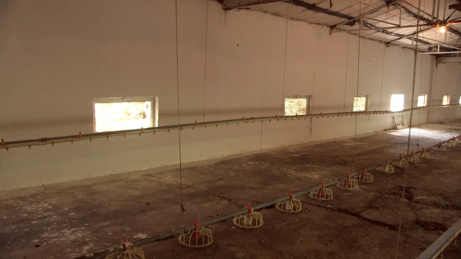 Kristijan Golubović