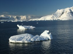 Setki gór lodowych płyną na Nową Zelandię!