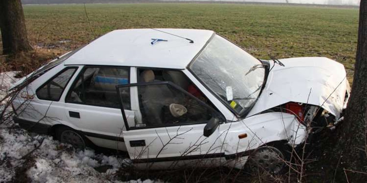 Polonez uderzył w drzewo