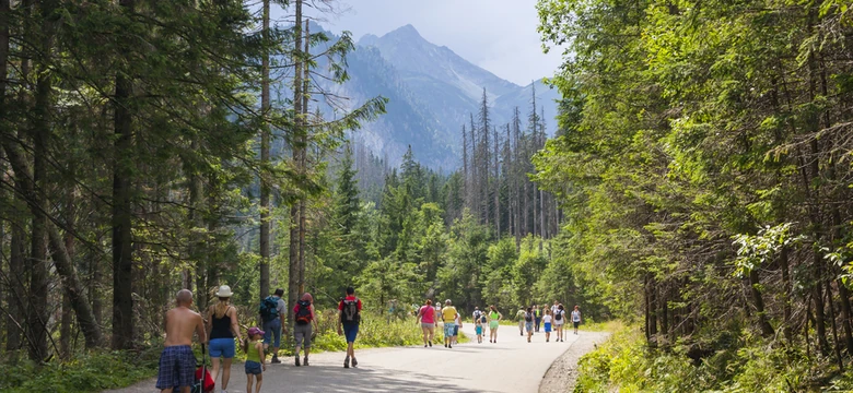 Tatrzanski Park Narodowy Wiadomosci