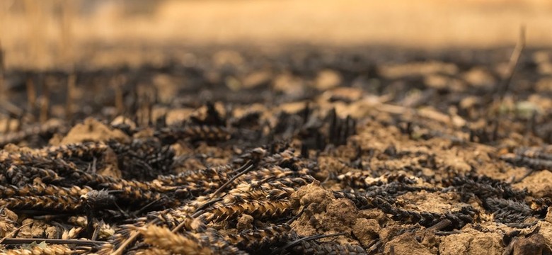 CNN: Oto nowe pole bitwy w wojnie z Rosją. "Robią to każdego dnia"