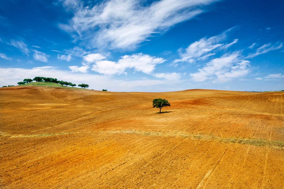 Pola uprawne, Alentejo