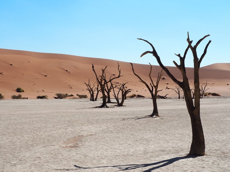 Deadvlei