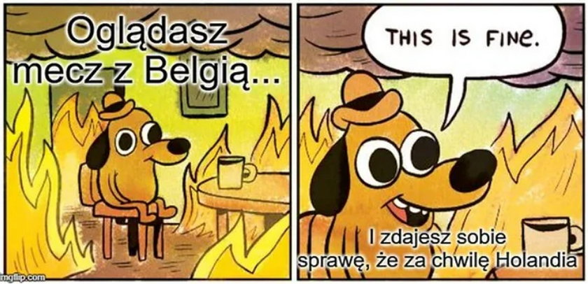 Memy po meczu Belgia - Polska 1:6
