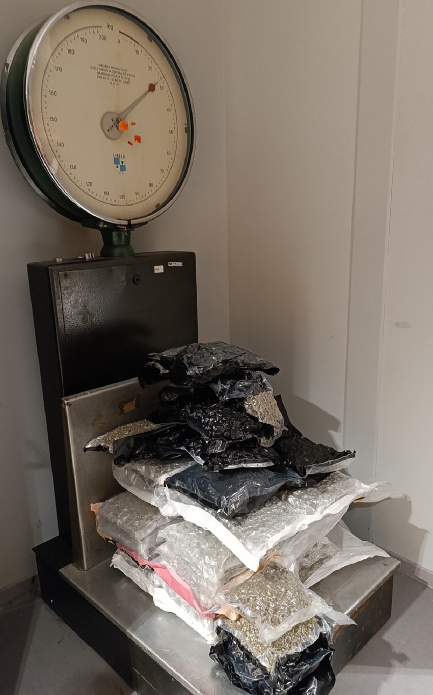 Zaplenjena marihuana