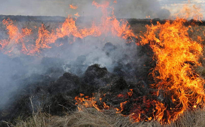 Obszar objęty pożarem w Biebrzańskim Parku Narodowym nie powiększa się