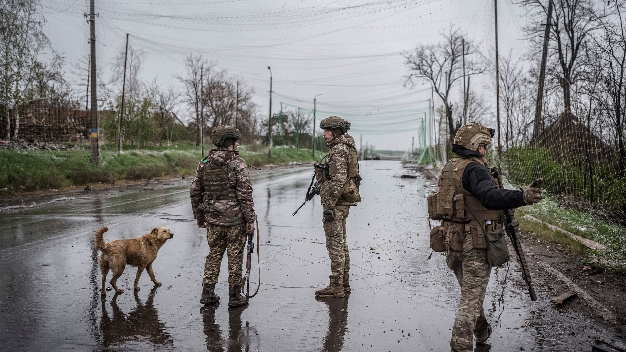Ukrajinská armáda, ilustračné foto.