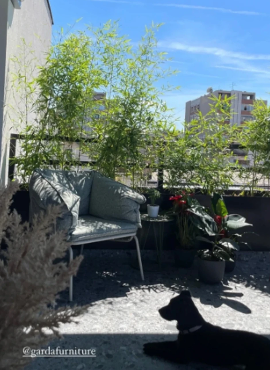 Stan Tamare Dragičević i Petra Benčine