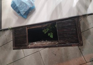  Čačanka Vesna J. upala u otvorenu šahtu