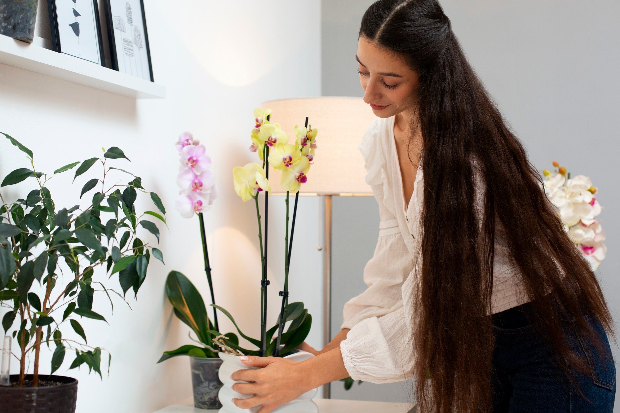 Zdravé korene sú základ – zelené končeky signalizujú začiatok rastu. Priehľadný kvetináč vám prezradí viac, než si myslíte.