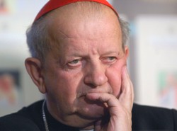Kardynał Dziwisz: Dusia przesadza