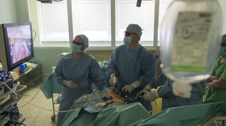 Jens-Uwe Stolzenburg német professzor (b2) veseműtétet végez 3D-s szemüvegben, laparoszkópiás eljárással a "Minimál invazív eljárások az urológiában XI." címmel a 11. alkalommal megrendezett nemzetközi szakmai kurzus keretében a Jahn Ferenc Dél-pesti Kórházban 2020. február 28-án / Fotó: MTI/Máthé Zoltán
