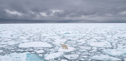 Naukowcy w trwodze. "Potwór" z Arktyki zagraża całemu światu!