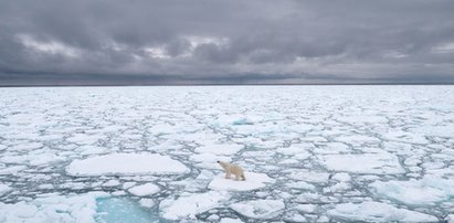 Naukowcy w trwodze. "Potwór" z Arktyki zagraża całemu światu!