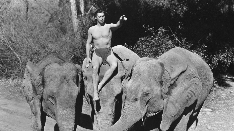 Johnny Weissmuller jako filmowy Tarzan w 1939 r.