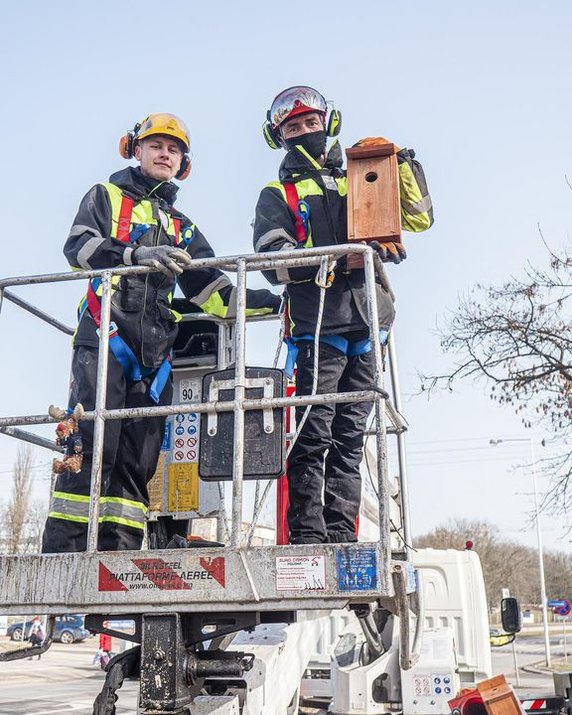 Łódź zaprasza ptaki. W całym mieście powieszą 600 budek lęgowych