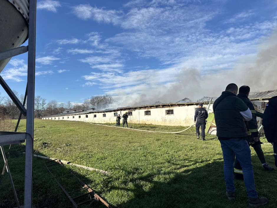 Požar na farmi pilića u Čačku