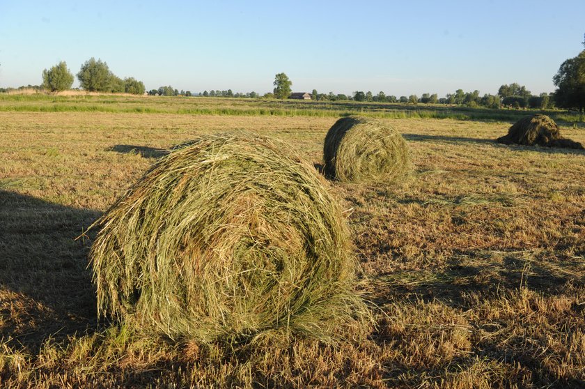 Rząd mógłby oszczędzić