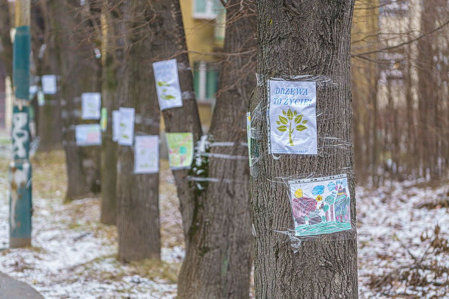 Sądeczanie chcą utworzenia Parku Nawojowskiego