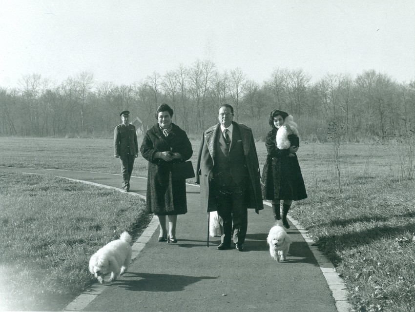 Jovanka, Tito i Nada