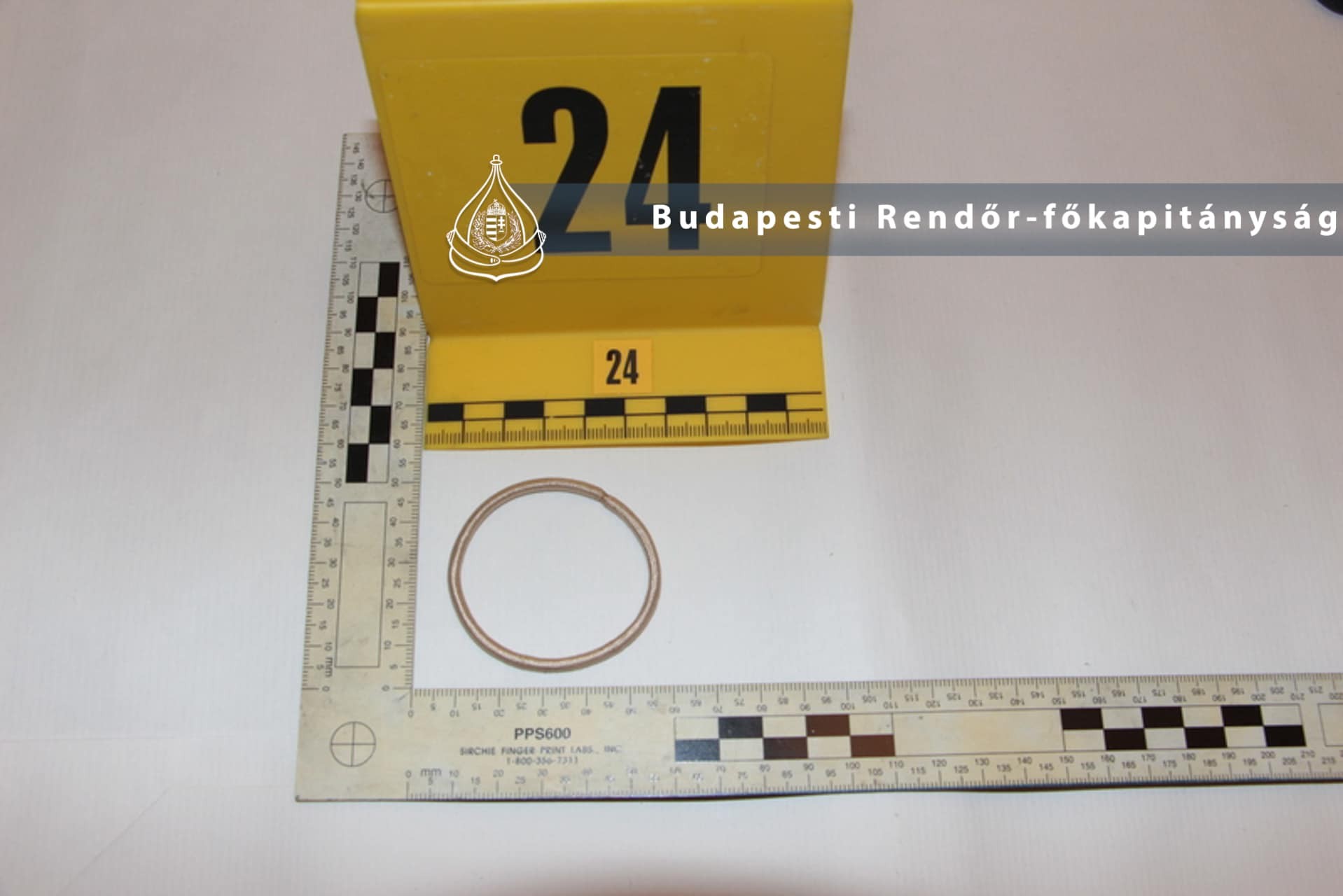 Policajné riaditeľstvo v Budapešti zverejnilo zaistené dôkazy z miesta činu, kde zomrela Mackenzie.
