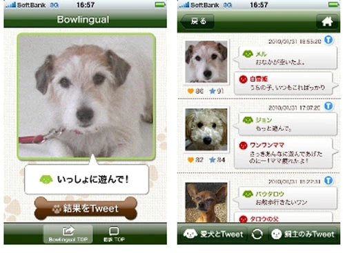 Dzięki aplikacji Bow Lingual możemy dowiedzieć się, co nasz pies miał na myśli.