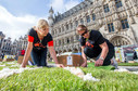 BELGIUM GIANT FLOWER CARPET (20th giant flower carpet in Brussels)