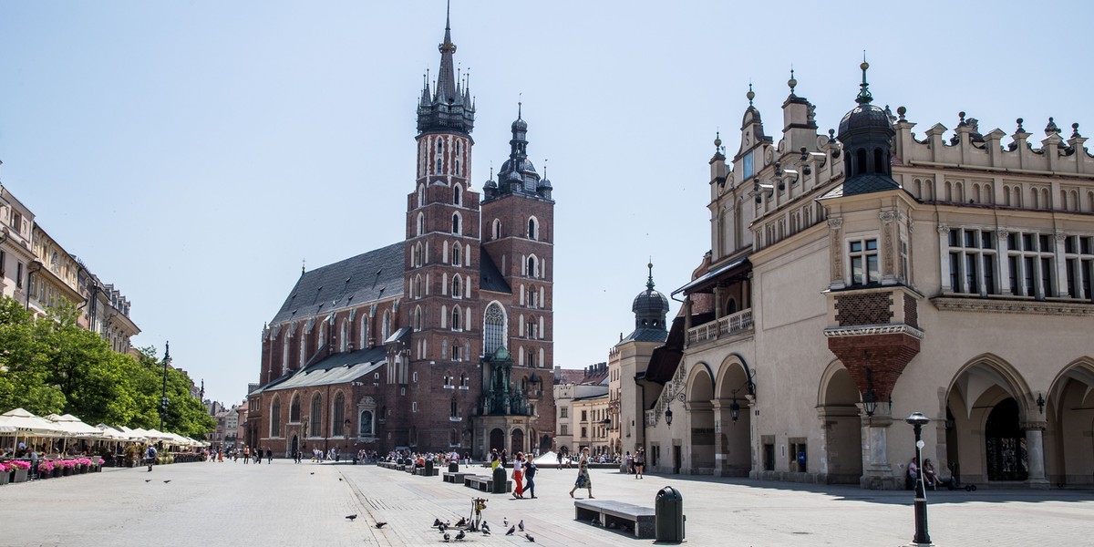 Planują posadzić drzewa na rynku głównym w Krakowie. 