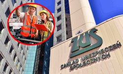 ZUS już wypłaca po 1269 zł. Jeśli złożysz wniosek, decyzję dostaniesz w 14 dni