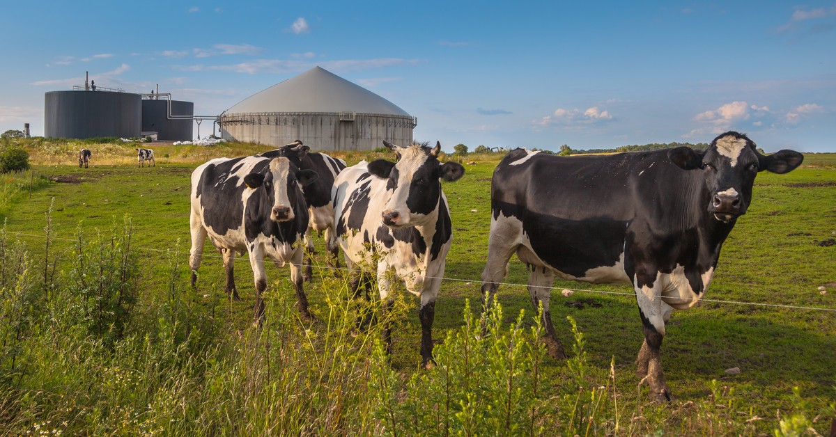 Prezydent podpisał ustawę o zdrowiu zwierząt. Nowe zasady odszkodowań dla rolników