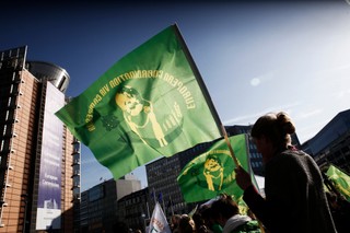 Organizacje społeczne przeciwko umowie UE - Mercosur. 'Coraz gorszy poziom ochrony praw człowieka i środowiska'