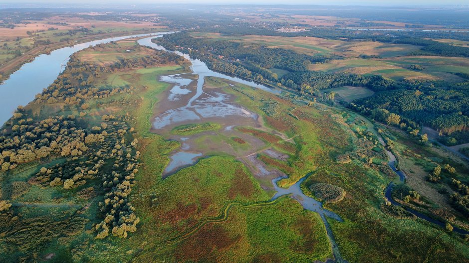 Rezerwat Gęsi Bastion nad Starą Rudnicą