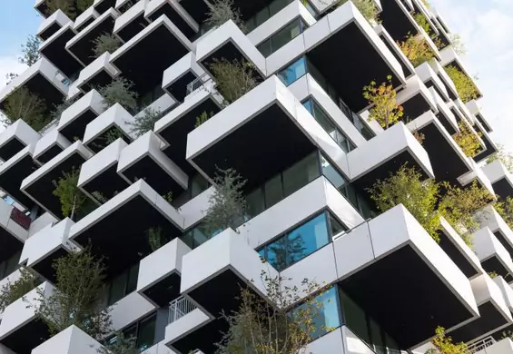 Tak wygląda blok z mieszkaniami socjalnymi w Holandii. Na fasadzie rośnie 10 tys. roślin