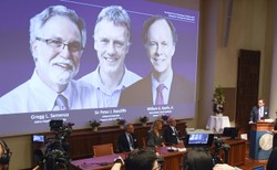 Nobel z medycyny za odkrycie, jak komórki adaptują się do stężenia tlenu