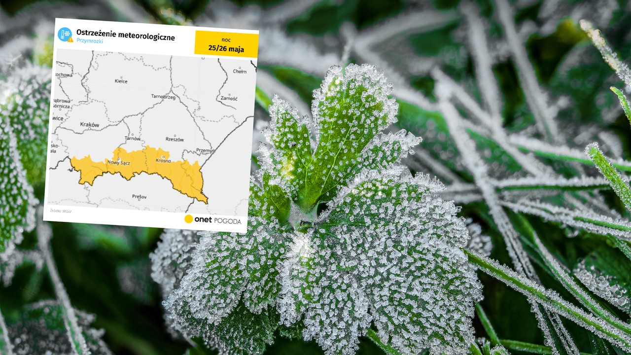 Przymrozki w dwóch województwach. IMGW wydał ostrzeżenia