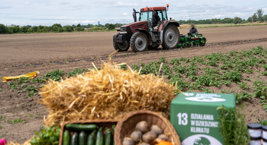 Farma Miejska powstała z myślą o najmłodszych, ale i o dorosłych, którzy chcą wrócić na rynek pracy.