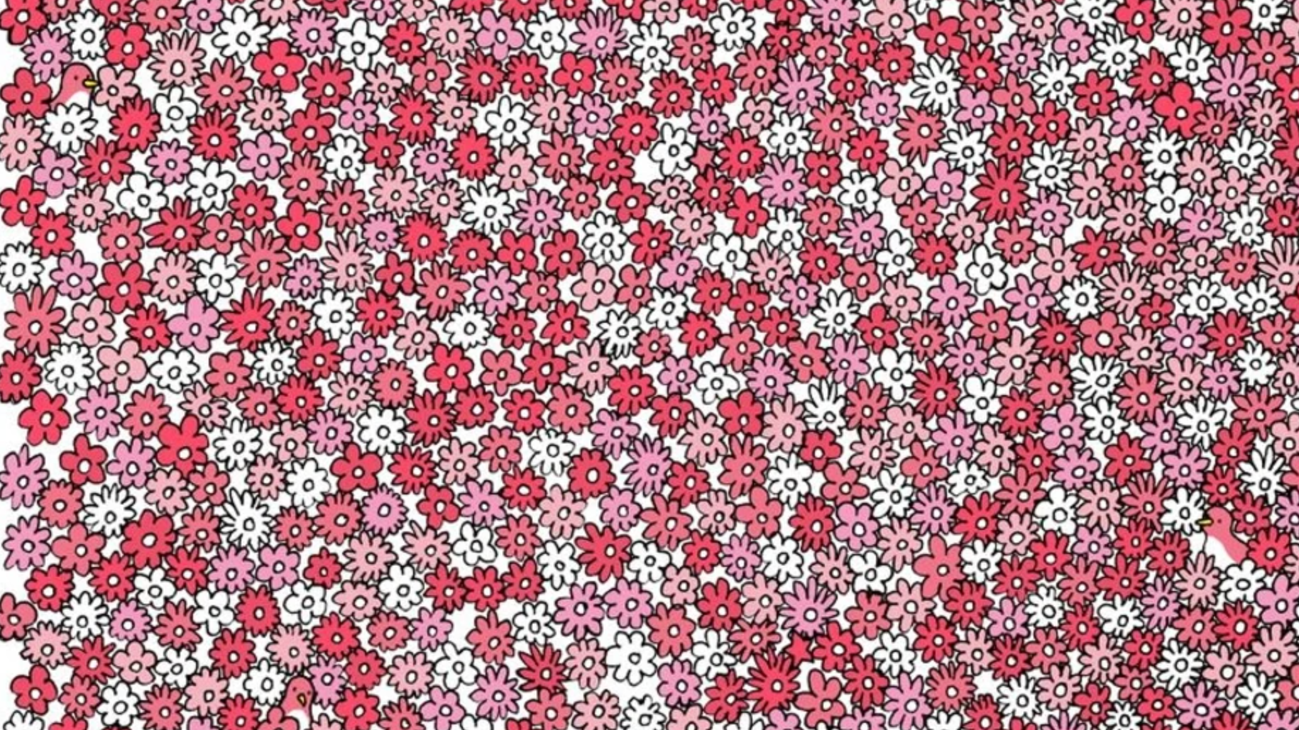 Poriadne si tento obrázok prezrite a nenechajte sa oklamať detailmi.