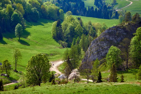 Rezerwat Biała Woda