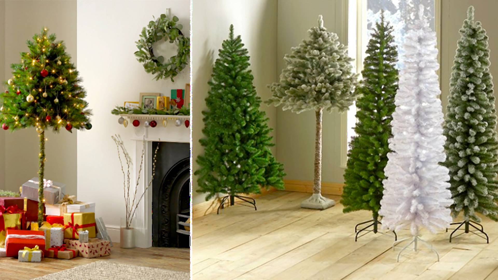 Jedlička či palma? Britský predajca ponúka vianočný stromček vhodný pre majiteľov mačiek