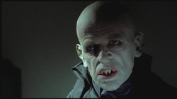 Profesorskie kino - przegląd "Kino według Marii Janion"