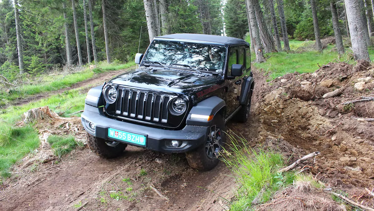 Na offroad do lasu i to legalnie? Ruszyła ankieta Lasów Państwowych